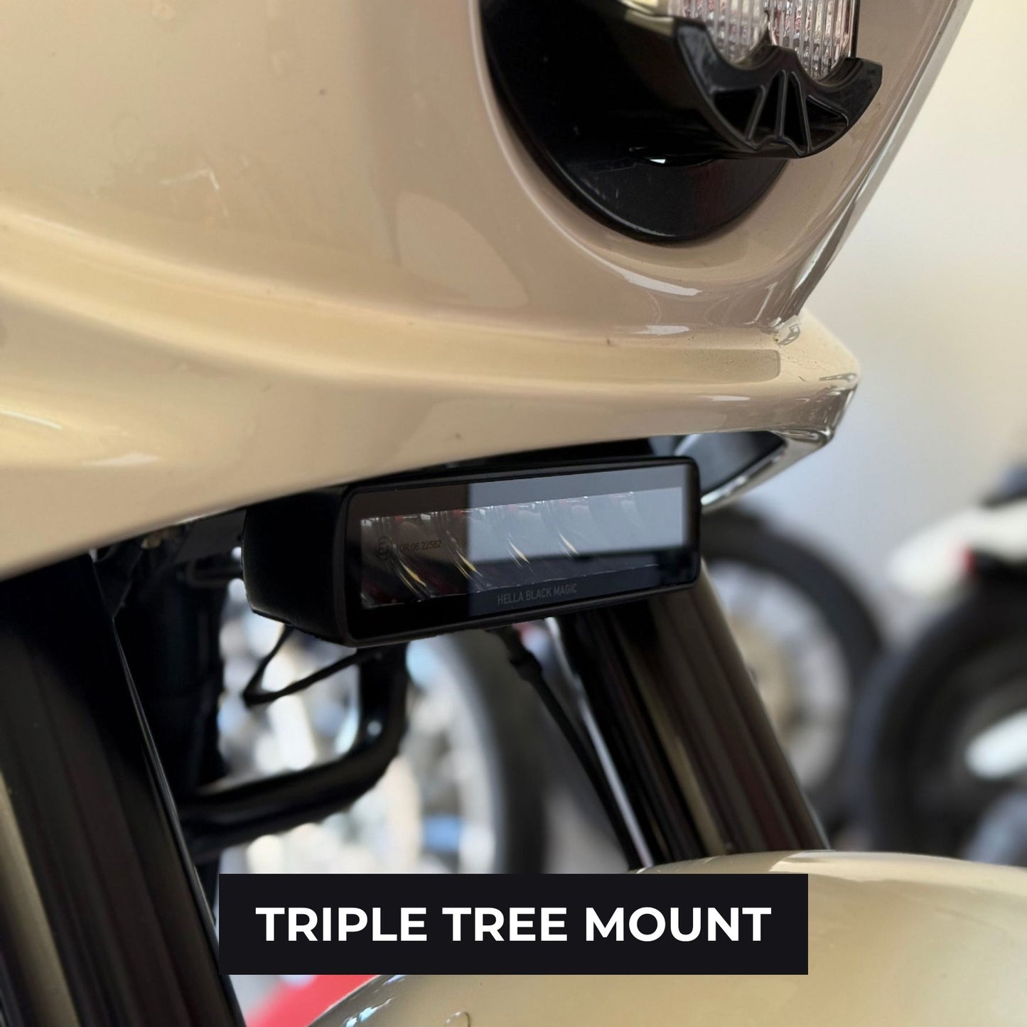 Close-up of a Low Rider ST Aux Light, Baja headlight and front fender.